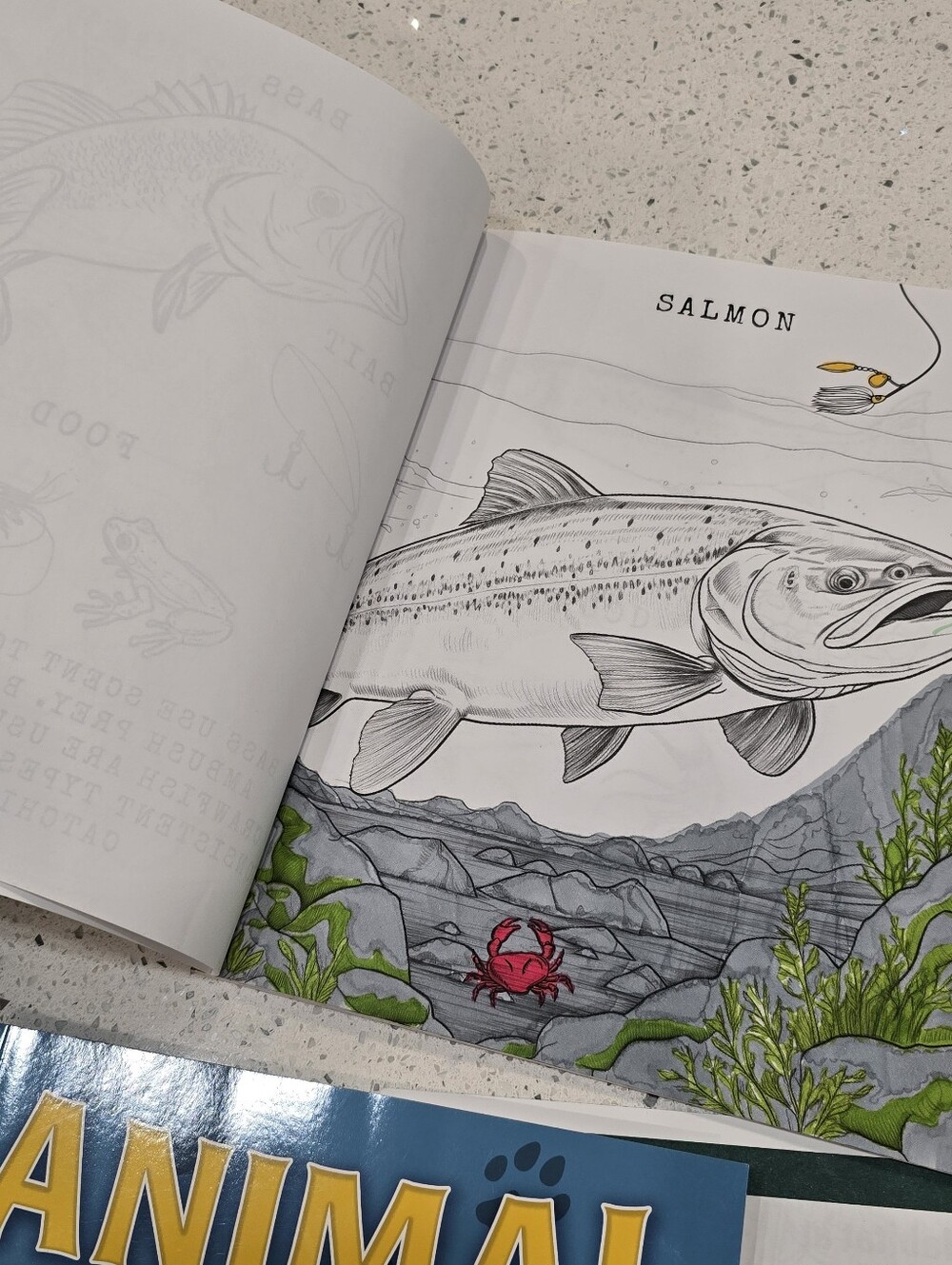 Hunt & Learn Coloring Book Collection - Picture 7 of 8